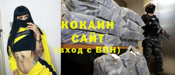 сатива Мегион